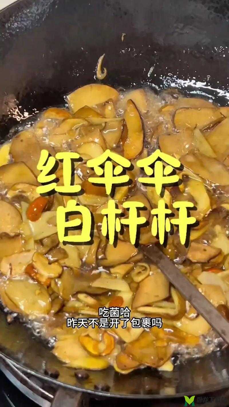 《美食探索：炒菌菇制作指南，珍藏版食材清单必备》