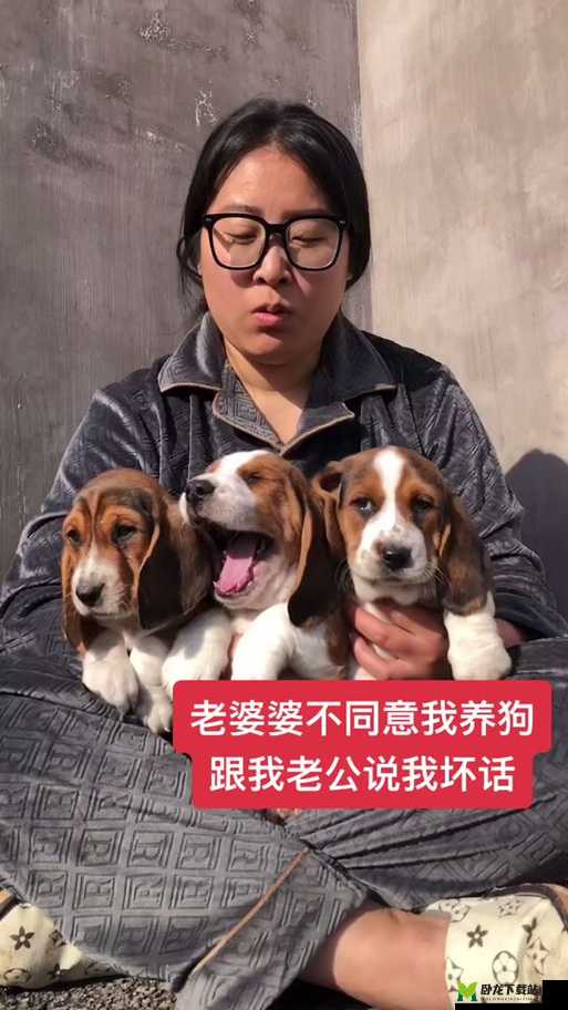 我的狗老公拉婆婆一起：真有趣