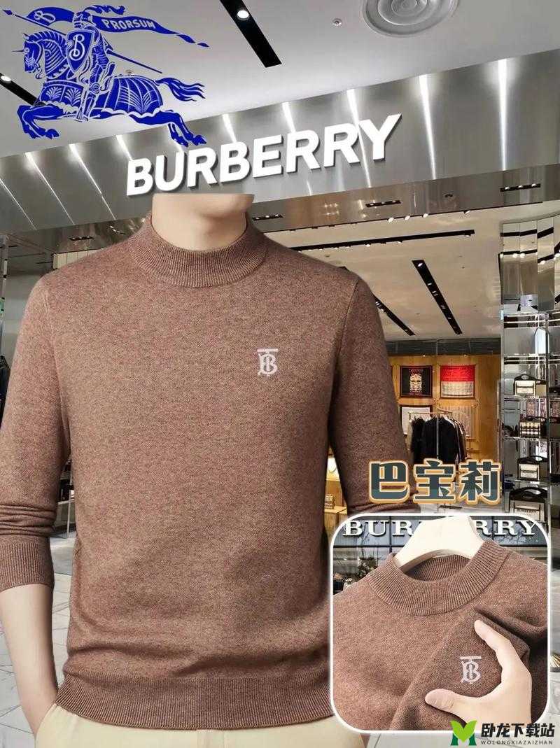 BURBERRY 中文免费版：时尚新体验