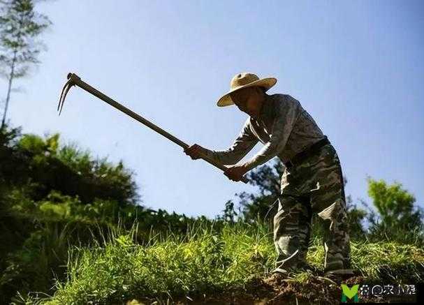 儿子耕种母亲田地寓意：子承母业继传承