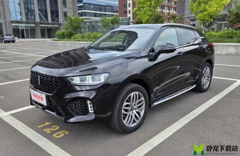 WEY VV5 国产 SUV：智能豪华，引领时尚