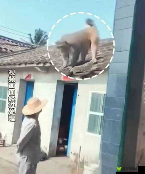 二人生猴子全程不盖被子黄：禁忌之爱