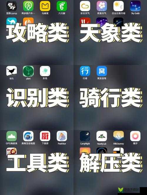 户外大秀app 哪个用户最多啊之探讨