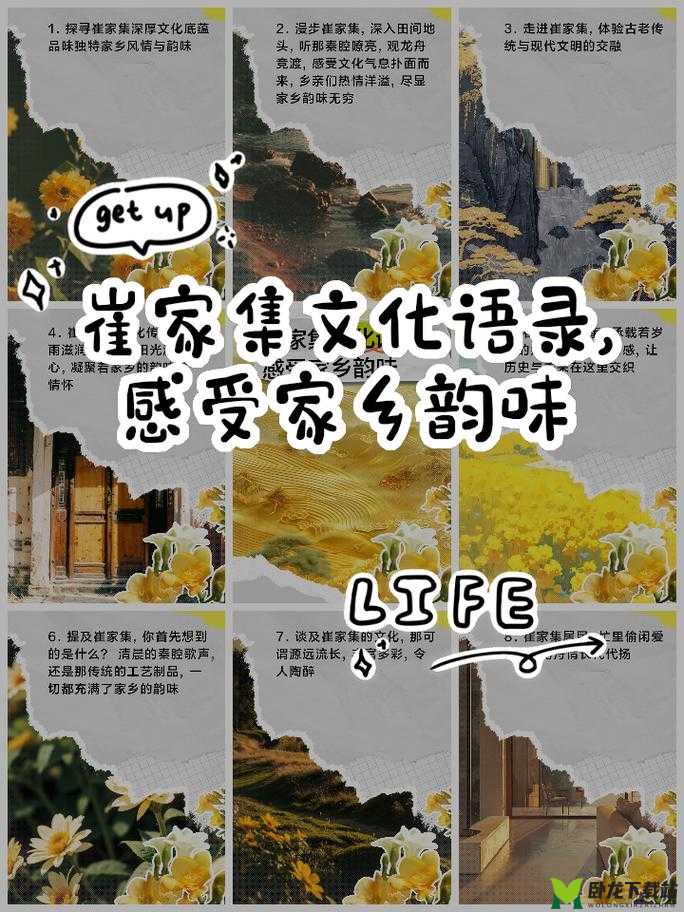 品味日韩：探寻独特文化魅力