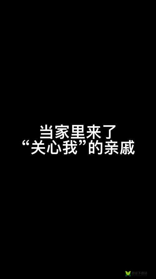 疯狂梗回怼多个亲戚的完美过关攻略秘籍