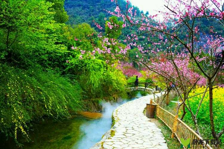 桃花洞口已是溪水潺潺：美丽的自然之景