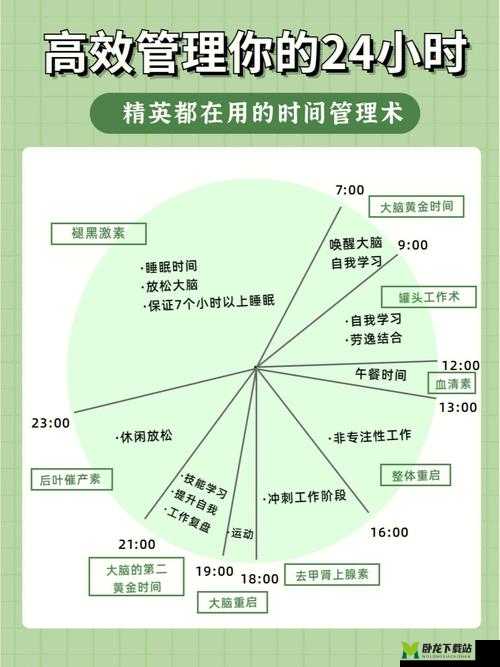 饪时提升效率秘诀：高效工作的关键所在