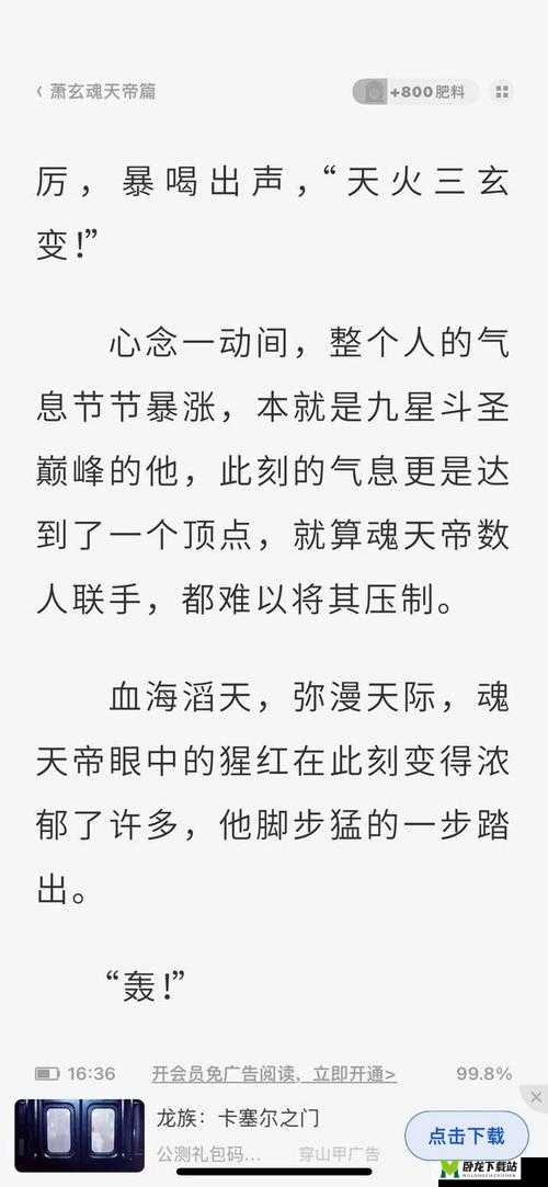 大主宰中小伙伴的选择与分配策略探讨