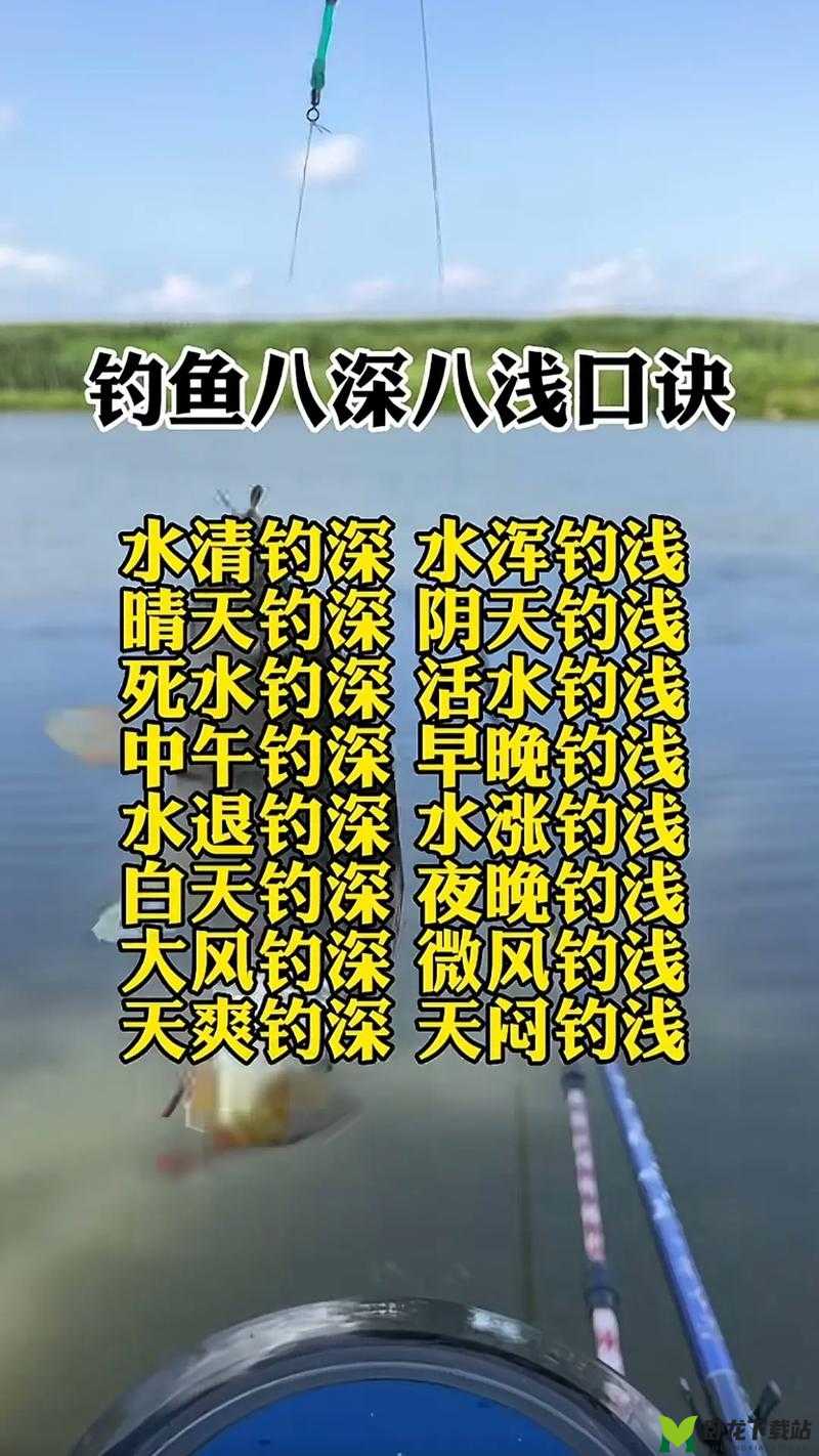 离谱汉字助阵钓鱼达人：小美钓鱼攻略秘籍，轻松通关秘籍大揭秘