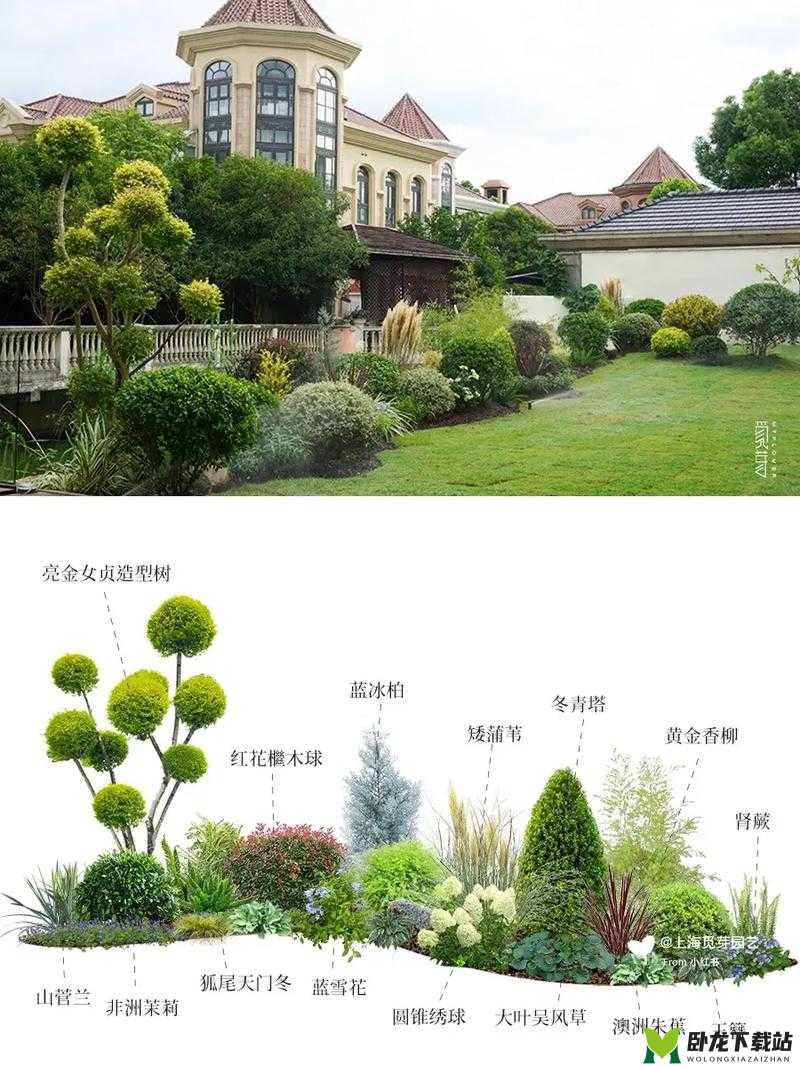 梦幻庭院种植指南：解锁庭院种植技巧，打造梦幻花园