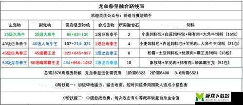 创新攻略：龙血拳皇与魔法创造完美融合秘籍分享