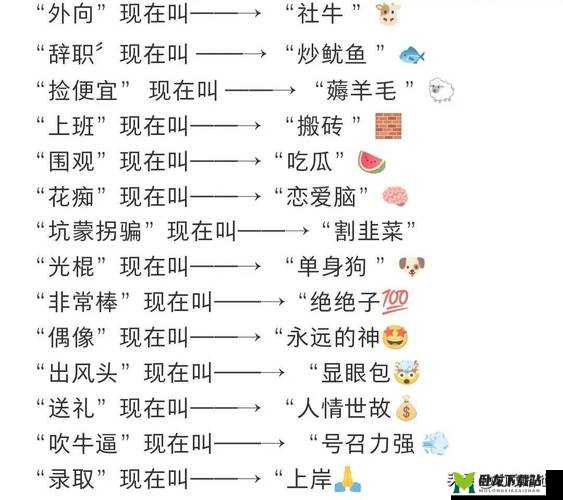 大毛毛是什么意思网络用语：深度解析其内涵