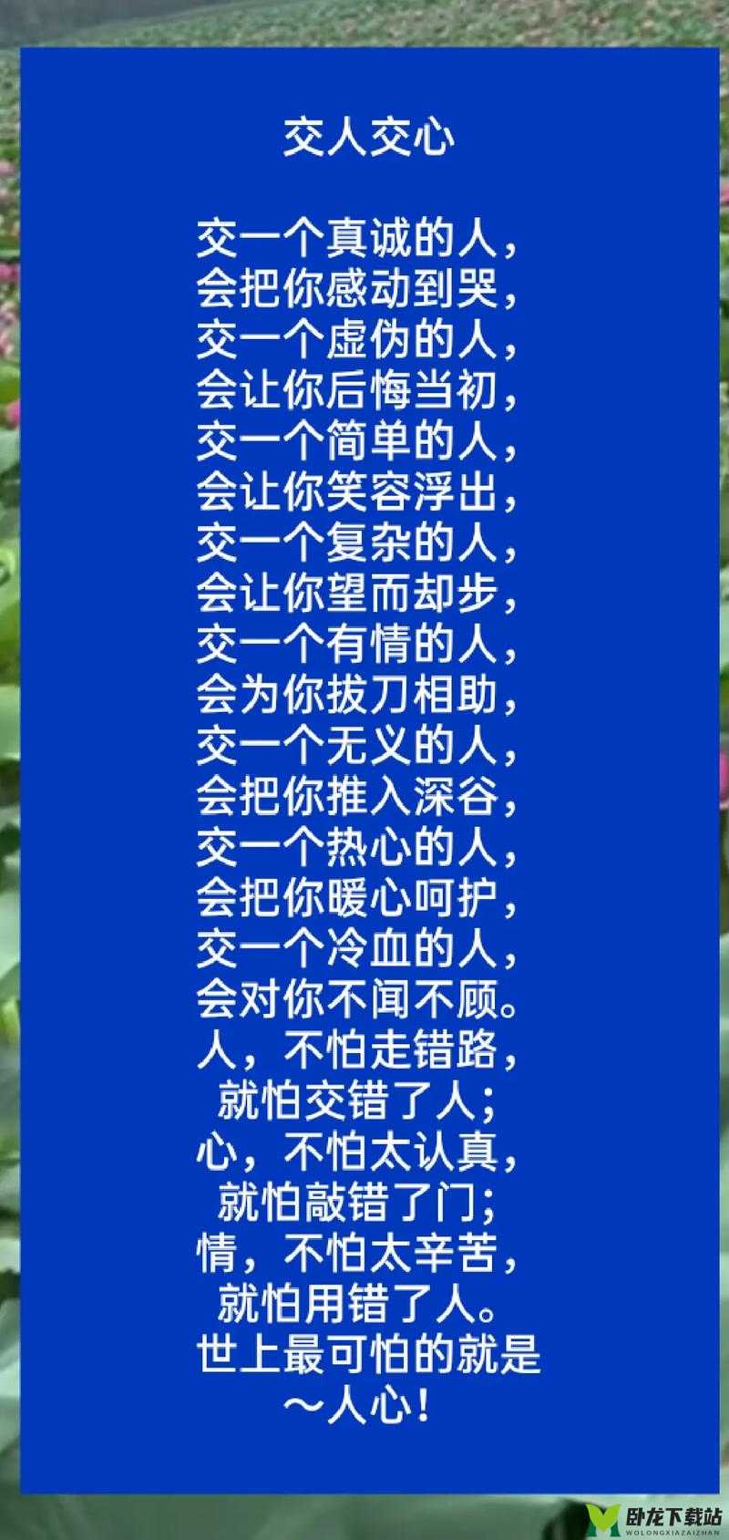 人与鲁交人鲁交人鲁交人鲁交的奇妙故事