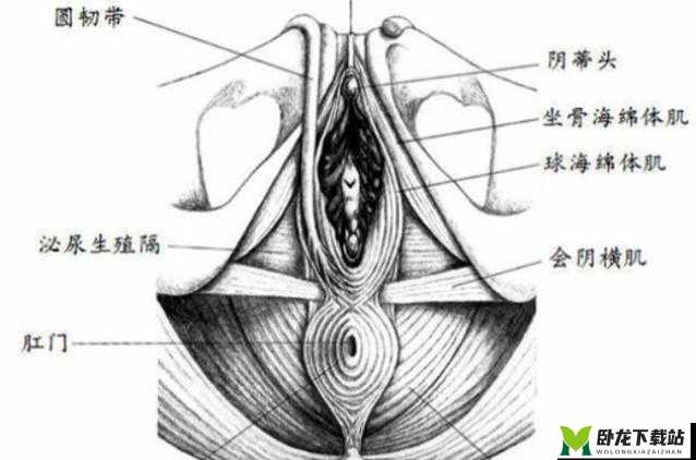 大荫蒂潮喷老女人：极致性爱的探索