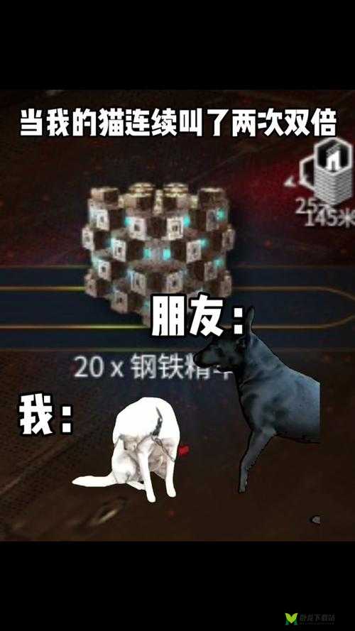 如何获取星际战甲中的好运猫？详细攻略在此