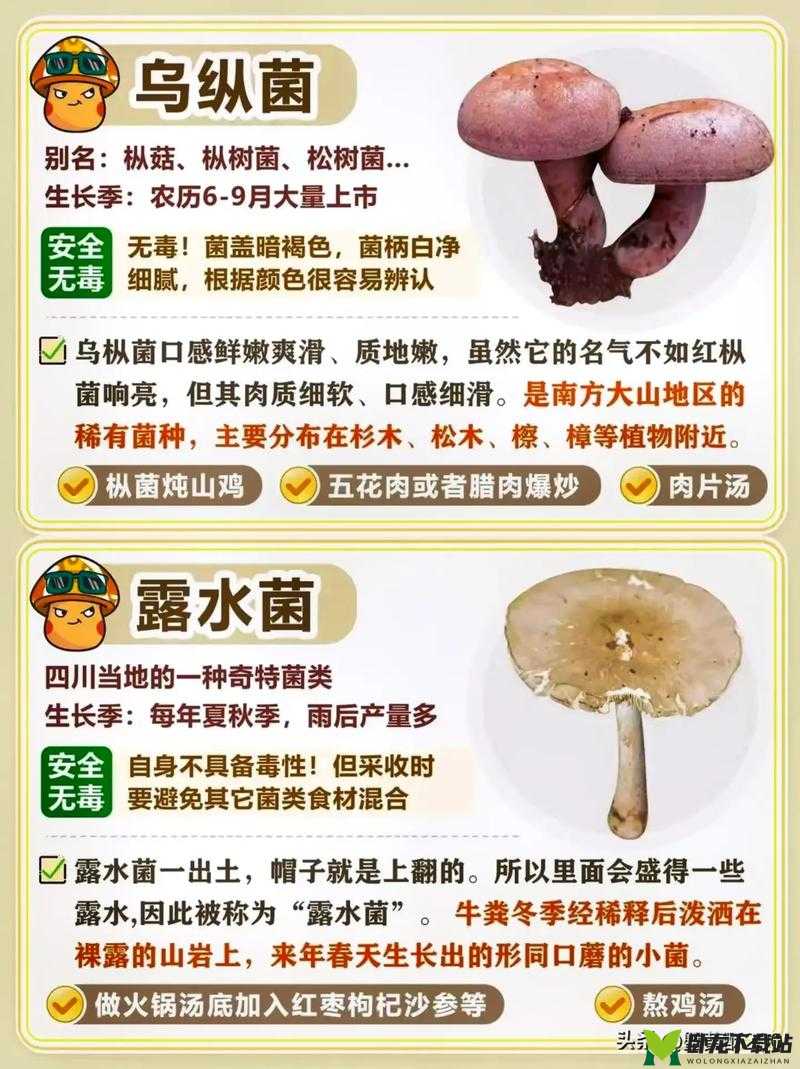 蘑菇永利黑料网曝门：震惊全网的黑料揭秘