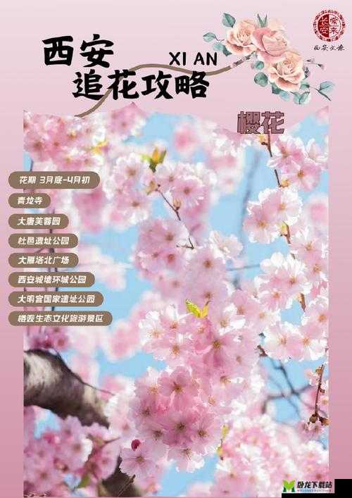 与春日繁花：邂逅浪漫，不负春光