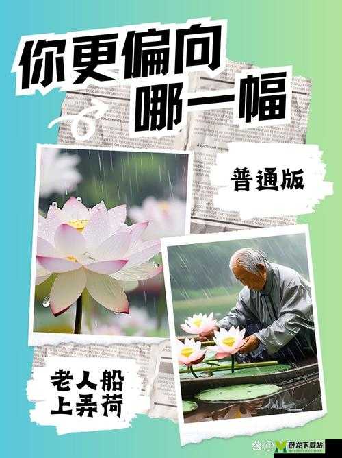 老人船上弄雨荷：一幅美丽画卷