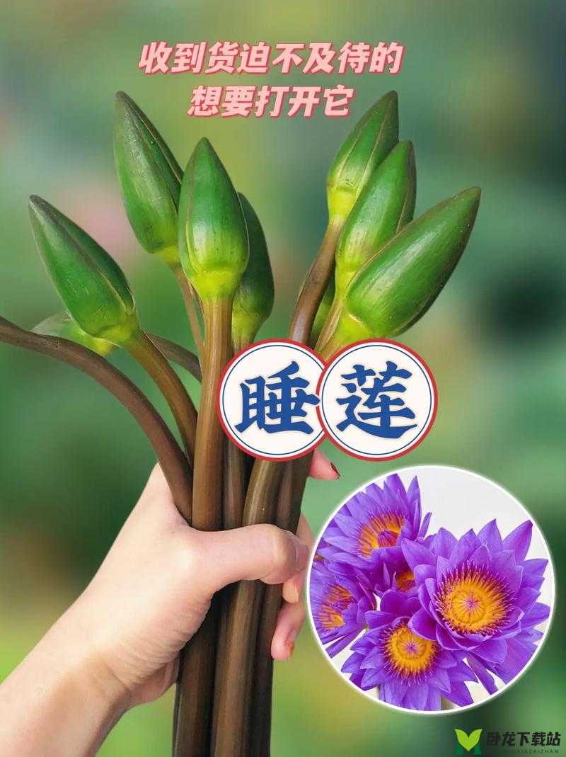 女性半夜莲花开放的治疗方法：探索有效途径