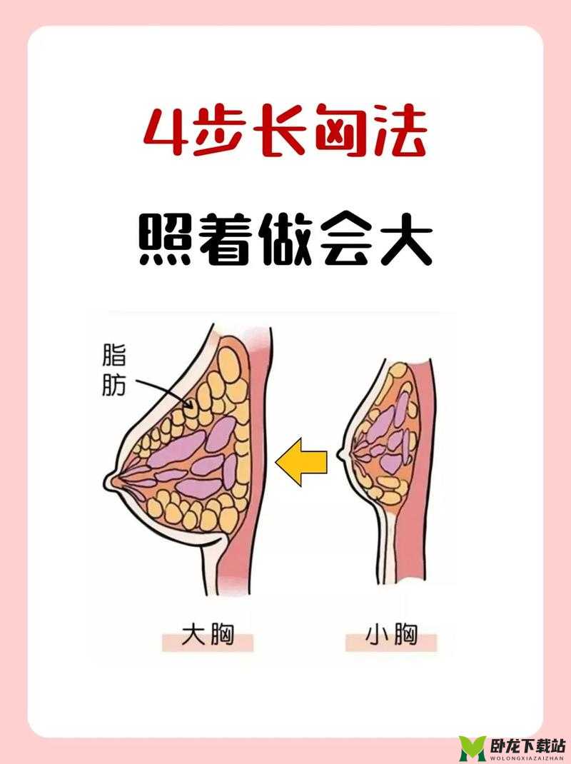 怎么可以让女生的胸变大一点：科学丰胸方法大揭秘