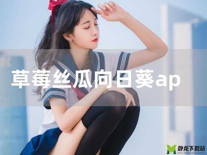 丝瓜草莓小猪鸭脖视频 APP 免费：畅享精彩视频