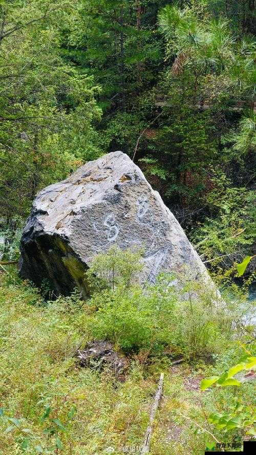 《童话西游记》宝石传奇之旅：勇闯界寻宝石