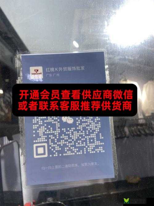 红桃HTVIP怎么打开：相关问题探讨